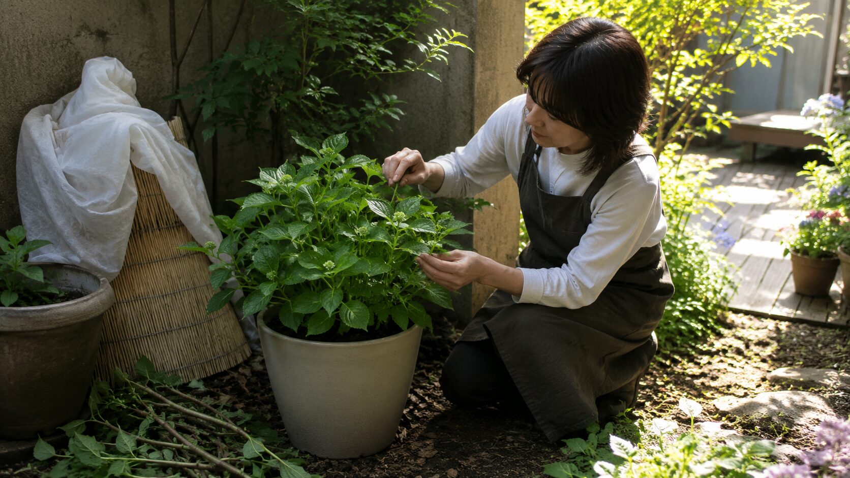 花が咲かない原因と対処法